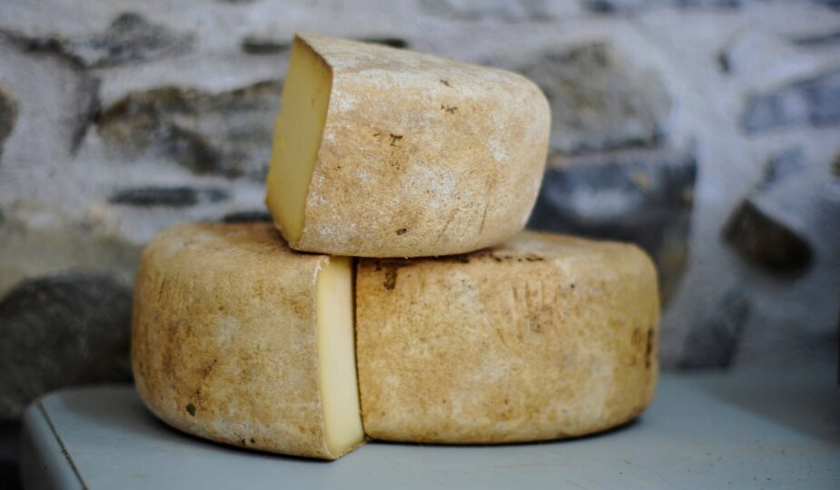 fromage cantal