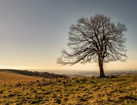 plateau de gergovie