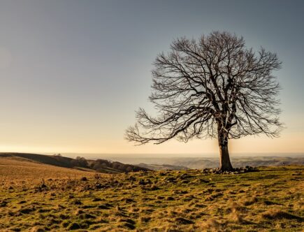 plateau de gergovie